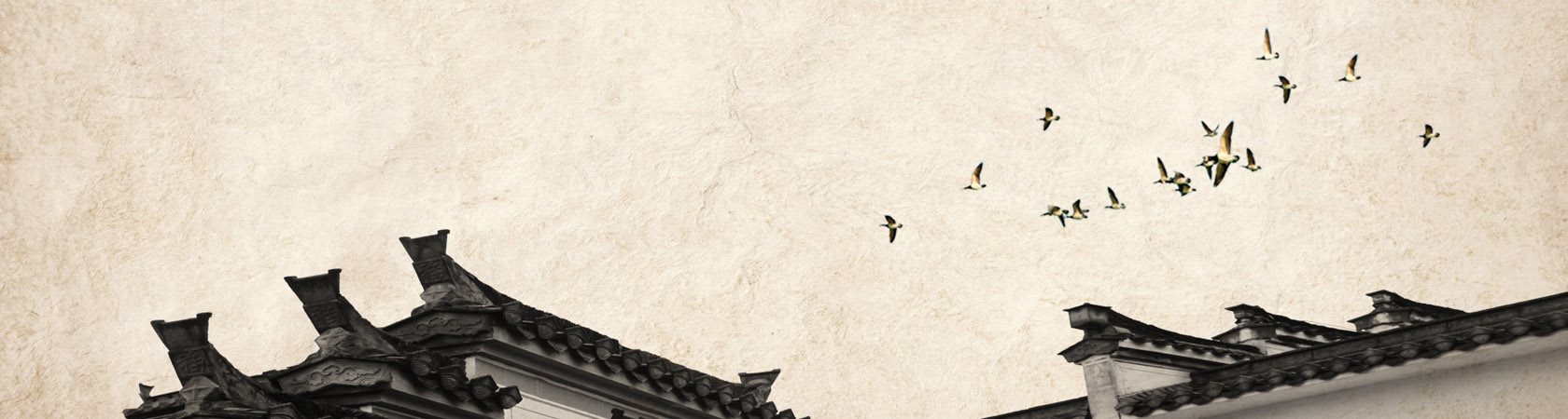 发展历程